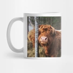 Scottish Highland Cattle Cow 1922 Mug